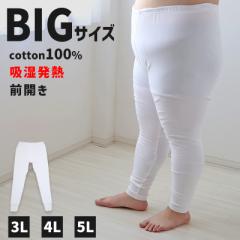 傫TCY Y{ Y 100 3L`5L (Y{ zM Rbg rbO O 吡 傫 ł ӂ͂ ӂƂ 얞 