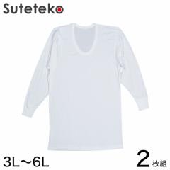 100  U Y 2g 3L`6L ( 傫TCY 3l 4l 5l 6l  Rbg Ci[ Vc )