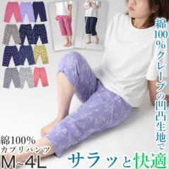 XeeR fB[X  100%  N[v Jvpc Ђ [EFA C[W[pc pW} ėp M`4L [pc 7
