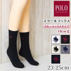 O[ POLO |Cg hJ XN[\bNX N[ 23-25cm (GUNZE | \bNX C   N[\bNX ʋ 