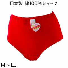 V[c  100%  M`LL (  ԃp ԃV[c fB[X pc Ci[ VV[c { ԐF) (wl) (