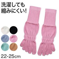5�{�w�\�b�N�X ���f�B�[�X ��100% �V���[�g�\�b�N�X 22-25cm (�ܖ{�w �C�� ���� �R�b�g�� �k�݂ɂ��� ���{�� �����ƂȂ�) (�w�l�C��)
