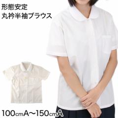 `Ԉ q ۋܔ uEX 110cmA`150cmA ϋvH H (݌Ɍ)