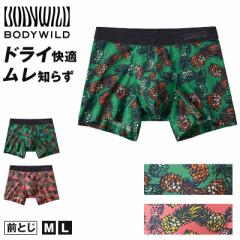 グンゼ ボディワイルド ボクサーパンツ メッシュ メンズ 前閉じ M L bodywild ボクサーブリーフ 夏 吸汗速乾 メッシュ 汗 ドライ パンツ 