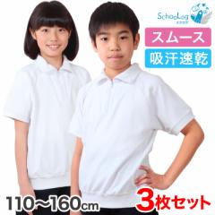 【3枚セット】小学校 体操服 半袖 衿付き 110～160cm (半袖体操服 小学生 男子 女子 半そで 体操着 スクール 体育 運動会 衣替え 子供 子