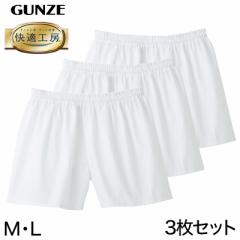 O[ KH[ am pciOƂj3Zbg MEL (Y GUNZE 100 Rbg100 j   Ci[ 炩 {) (