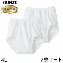 O[ y2ZbgzKH[ amXpu[t 4L (傫TCY GUNZE 100 Rbg100 j am   Ci[ 