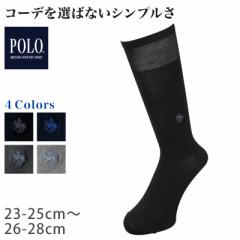 O[ POLO@amrWlX\bNX 23-25cm`26-28cm (POLO C  O[ |Cg \bNX rWlX JWA)