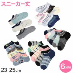 y  zfB[X Xj[J[\bNX 6g 23-25cm (wl C Xj[J[ \bNX  ) (݌Ɍ)