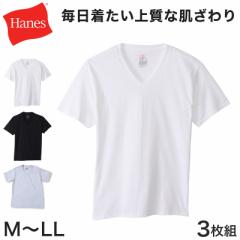 wCY Y VlbNTVc 3g M`LL (Hanes Global Value Line 100 Ci[ A_[EFA  )