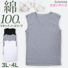 Ci[ Y m[X[u 100% vlbN tVc 傫TCY 3L`4L X[uX   100 Rbg j am Ci[