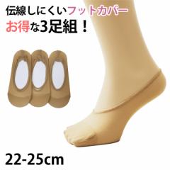 fB[X wl tbgJo[ 3g `ɂ 22-25cm (wl  \bNX   m҂ `h~) (݌Ɍ)