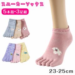fB[X 5{w\bNX Xj[J[ 3g ΂ێ 23-25cm ܖ{w\bNX C Ԃ   3Zbg   CR
