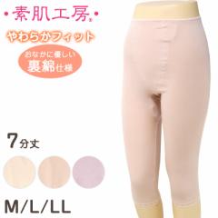  Xgb` {g 7 fB[X ȍ { M L LL (wl z ʋC K ₳ pc }` s[` J [Y) (݌