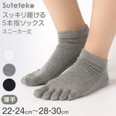 5{w\bNX fB[X Xj[J[\bNX  C 22-24cm`28-30cm 5{w \bNX ėp Ȃ 5{wC ܖ{w\bNX 