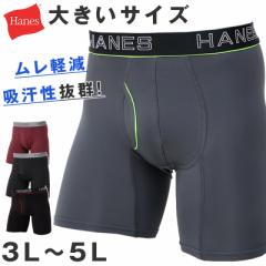 {NT[u[t Y  wCY OJ pc  n 傫 3L 4L 5L Hanes Ci[ jIC ʋC {NT[ j bV