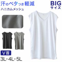 傫TCY X[uX m[X[u V VlbN Y bV Ci[ 3L`5L  Vc   rbO 吡 t 傫 