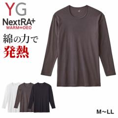 O[ YG  100 Y M`LL N[lbN ێ lNXg GUNZE YG Ci[ Vc  OX[u ~ h ΍ 