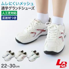 ʊw O OhV[Y XN[V[Y Xj[J[ qC ʊw RC 22cm`30cm bL[x xtB[h70 Xj[