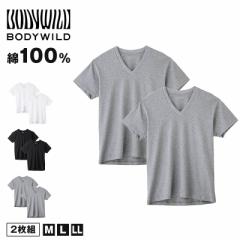 グンゼ vネック tシャツ ボディワイルド 綿100 2枚組 M L LL v首 肌着 下着 無地 インナー 2枚セット gunze bodywild 白 黒 灰 プレゼン