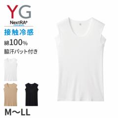 O[ yg m[X[u X[uX Y vlbN ڐG⊴ 100 epbht M L LL v gunze nextra   j am e