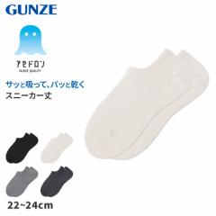 アセドロン ソックス レディース スニーカー 丈 靴下 グンゼ  22 23 24 cm スニーカーソックス 吸汗速乾 消臭 黒 白 灰 GUNZE gunze プレ