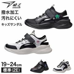 u LbY WjA T_Xj[J[ ̎q ALX y y T_ 19 20 21 21.5 22 22.5 23 23.5 24 cm wZ XN[ 