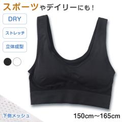�W���j�A �X�|�[�c�u�� �W���j�A�u�� �n�[�t�g�b�v �J�b�v�t���C���i�[ ���b�V�� 150cm�`165cm �q�� ���� �L�b�Y �X�|�u�� �f�C���[�u�� 