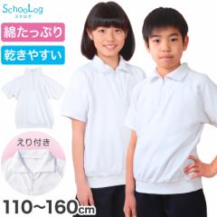 体操服 半袖 襟付き 小学生 体操着 小学校 男子 女子 110～160cm 襟 速乾 半そで 白 ファスナー 衿つき 運動着 女の子 男の子 子供 キッ