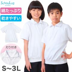 体操服 半袖 大きいサイズ 襟付き 体操着 S～3L ゆったり 半そで 160 170 男子 女子 白 小学生 小学校 中学生 女の子 男の子 ファスナー 