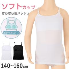 �L���~�\�[�� �W���j�A �J�b�v�t�� �C���i�[ �����b�V�� 140cm 150cm 160cm ���̎q �X�N�[�� ���w�� ���w�� �q�� ���� �L�b�Y �z�b�N����