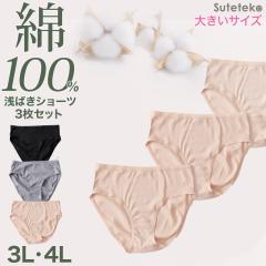 �n�[�t�V���[�c ��100% ���f�B�[�X 3���Z�b�g 3L 4L �󗚂� �傫���T�C�Y �C���i�[ ���� �R�b�g�� �V���v�� ���n �� �O���[ Suteteko �p