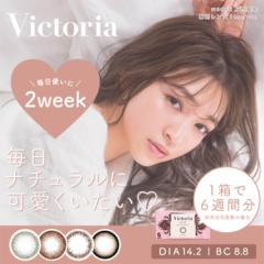 JR 2week 㐼 BNgA2EB[N 16~2Zbg x xȂ 14.2mm i` Vv l Y  n