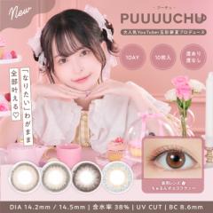 ܍ʔăvf[X JR v[` f[ 110~2Zbg UVJbg 14.2mm 14.5mm   n[t i` 