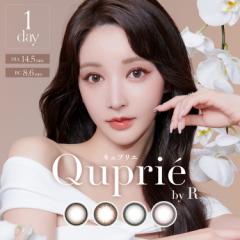 Rvf[X JR LvG f[ 110 14.5mm t` sN ؍n Ot`  Ƃ Â M