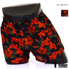 KING NOVA/�L���O�m�o  �n�C�r�X�J�X �� �t�����[ �썑 ���� �h���C �������� �T���T�� �g�����N�X�@�j�������@�����Y�@�p���c �O�J��