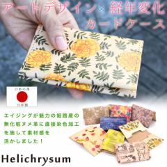 ���h���� �k���v �ԕ� Helichrysum �w���N���T��