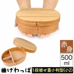 �������� �Ȃ������ �܂������ �ؐ��ٓ��� �Ԑg �X�M �� �ٓ��� �����` �����^ ���Ԃ��W �킹�W �P�i ��i 500ml �������� ���Z�� ��w