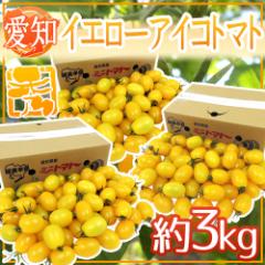 mY hCG[ACRg}gh Gi 3kgy\ 11{ȍ~z 