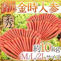 h쌧 lQh Gi M/L/2L 10kgy\ 11{ȍ~z 