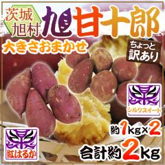 h錧  Ï\Y g͂邩{VNXC[g Hה׃Zbgh Ɩ󂠂 v2kgy\ 1ȍ~z  nx