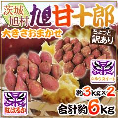 h錧  Ï\Y g͂邩{VNXC[g Hה׃Zbgh Ɩ󂠂 v6kgy\ 1ȍ~z  nx