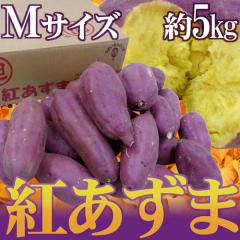 ��t�E��錧�Y �h�g�����܁h M�T�C�Y ��5kg ���܂����y�\�� ���׎��攭���z