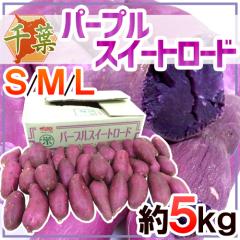 ��t���Y �h�p�[�v���X�C�[�g���[�h�h �G�i ��5kg ���� ���܂����y�\�� 10���ȍ~�z ��������