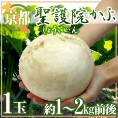 hs{ @Ԃh 1 1`2kgOy\ 11{ȍ~z