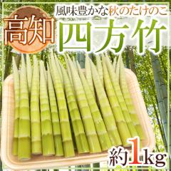 �h���m�Y �l���|�h �G�i S/M/L ��1kg �����̂��y�\�� 10���ȍ~�z ��������