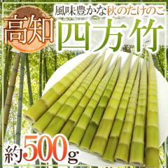 �h���m�Y �l���|�h �G�i S/M/L ��500g �����̂��y�\�� 10���ȍ~�z ��������
