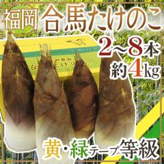 ���� ���n�Y �h�����̂��h 2�`8�{ ��4kg ���ϔ����� ���� �� �΁y�\�� 3�����{�ȍ~�z ��������