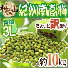 �I�B�E�a�̎R�Y �h�썂�~ �~�h ������Ɩ󂠂� 3L ��10kg�y�\�� 5�����{�ȍ~�z ��������