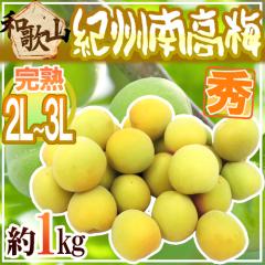 �h�I�B�E�a�̎R�Y �썂�~ ���n�h �G�i 2L�`3L ��1kg�s10�L���ȏゲ�w���ő��������t�y�\�� 6���ȍ~�z